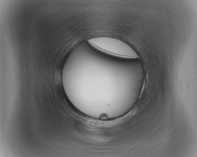 X0000112500048200908171020