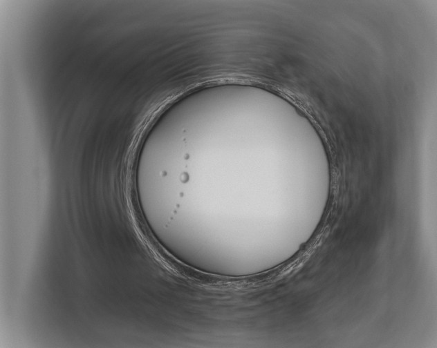 X0000112500049200908171019