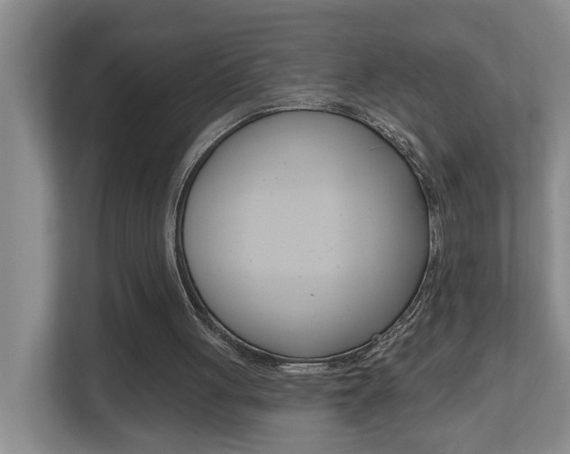 X0000112500051200908171019