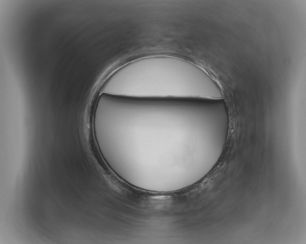 X0000112500053200908171019