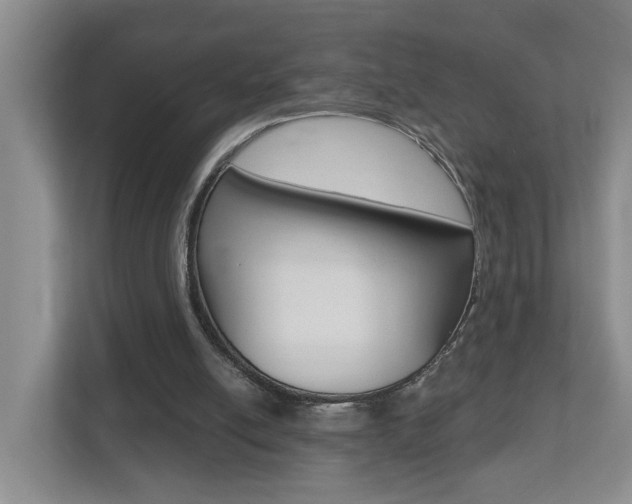 X0000112500054200908171019