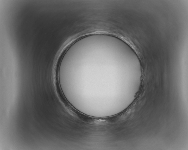 X0000112500055200908171019