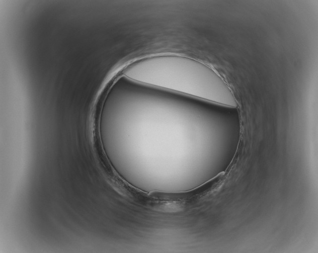 X0000112500056200908171019