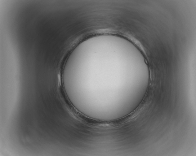 X0000112500061200908171019