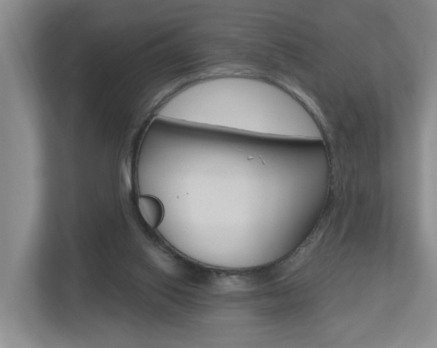 X0000112500062200908171019