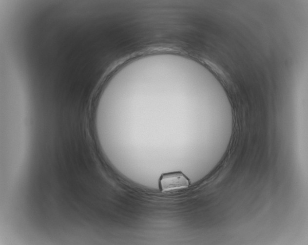 X0000112500064200908171019