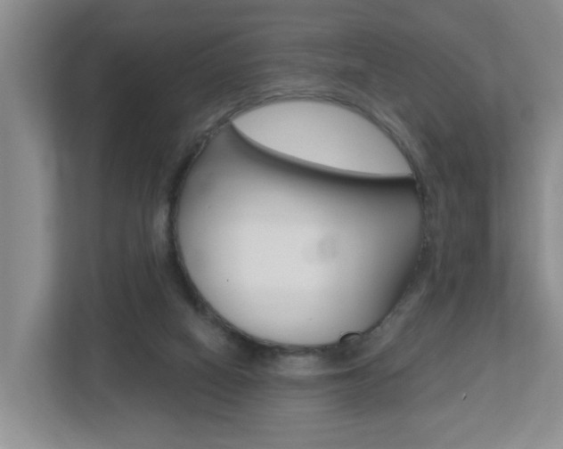 X0000112500066200908171019