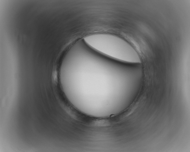 X0000112500067200908171019