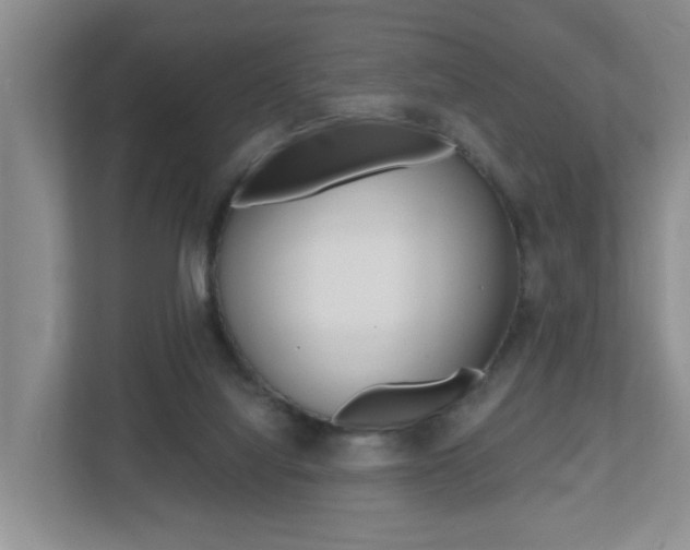X0000112500068200908171019