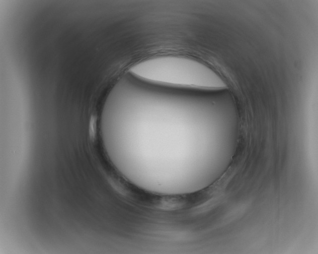 X0000112500070200908171019