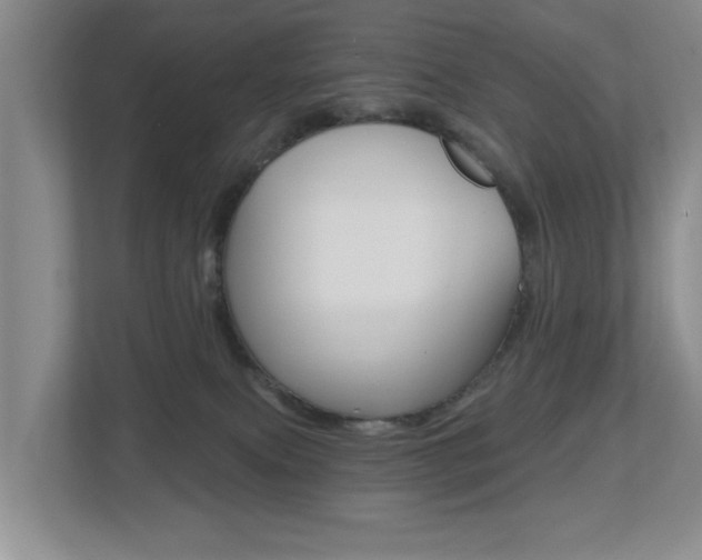 X0000112500087200908171020