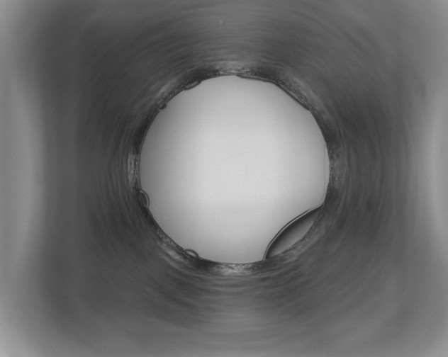 X0000112500093200908171020