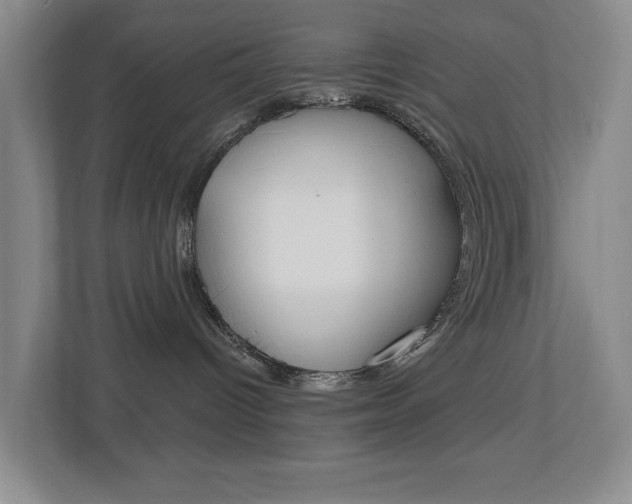 X0000112500096200908171020