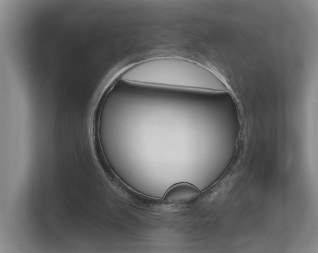 X0000112500103200908171019