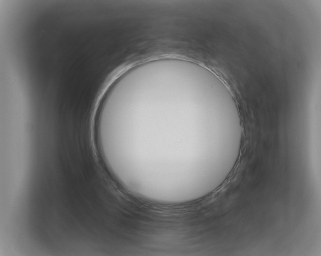 X0000112500104200908171019