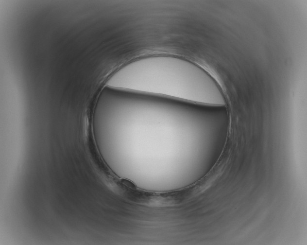 X0000112500109200908171019