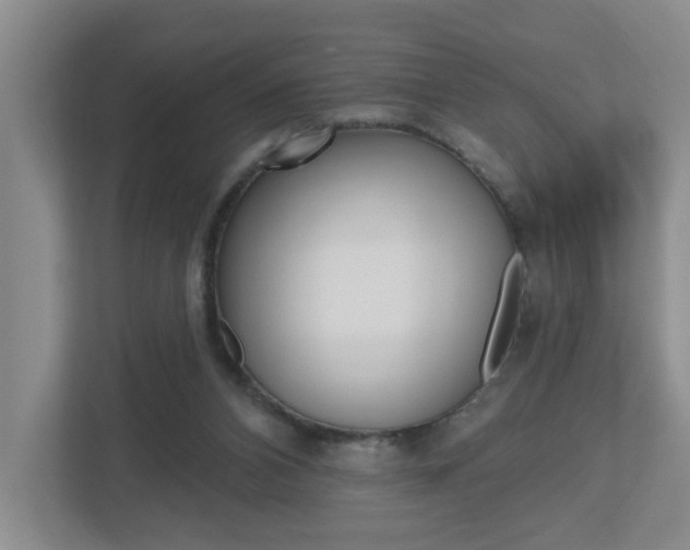 X0000112500112200908171019