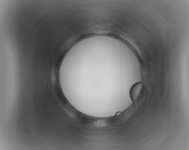 X0000112500114200908171019