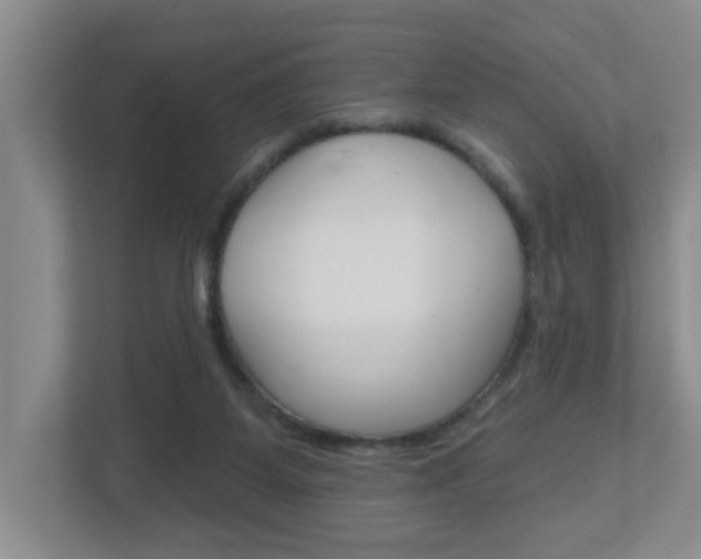 X0000112500115200908171019