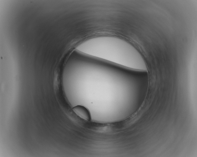 X0000112500116200908171019