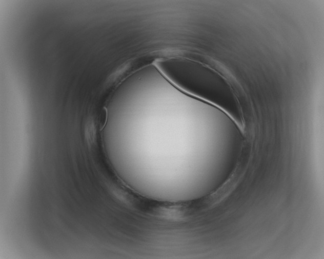 X0000112500120200908171019