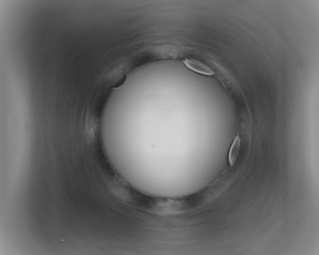 X0000112500125200908171019