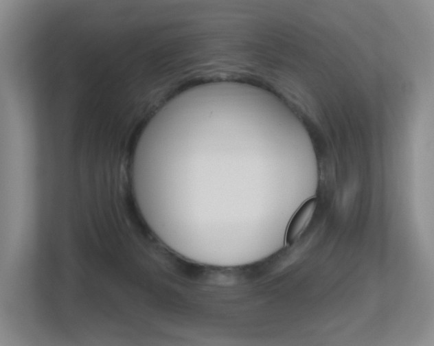 X0000112500127200908171019
