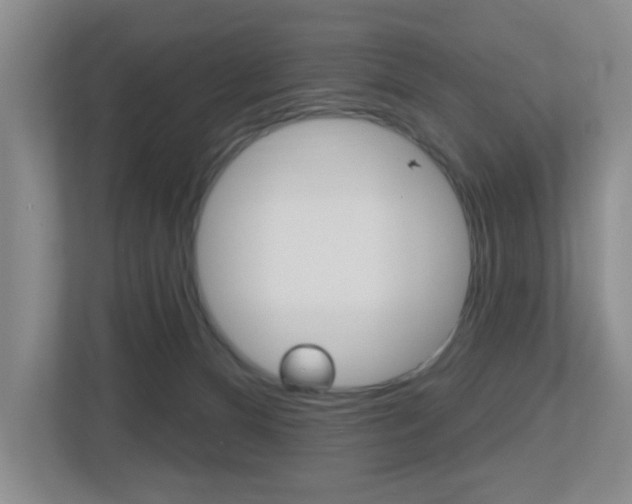 X0000112500128200908171019
