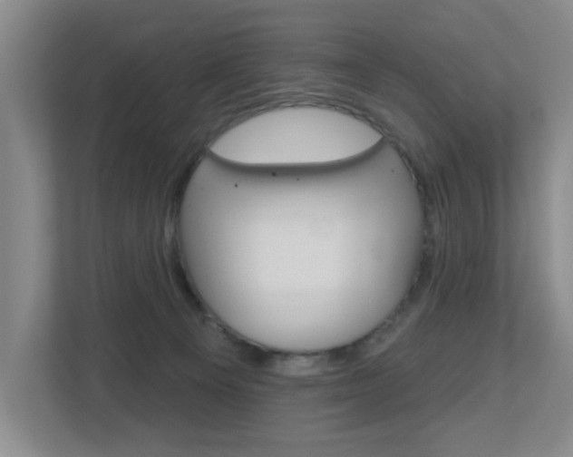 X0000112500129200908171019