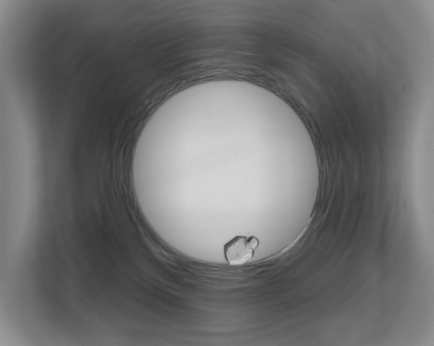 X0000112500136200908171019