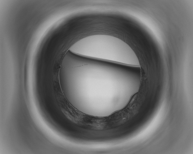 X0000112500143200908171019