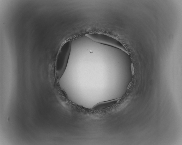 X0000112500144200908171019