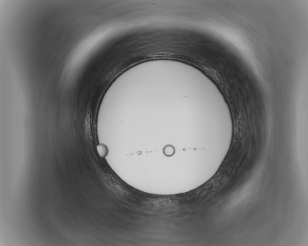 X0000112500146200908171018