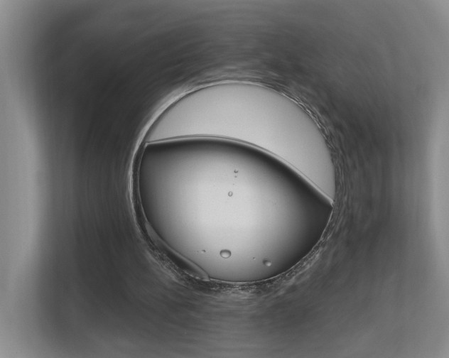 X0000112500148200908171018