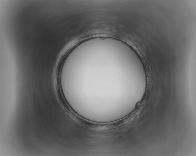 X0000112500149200908171018