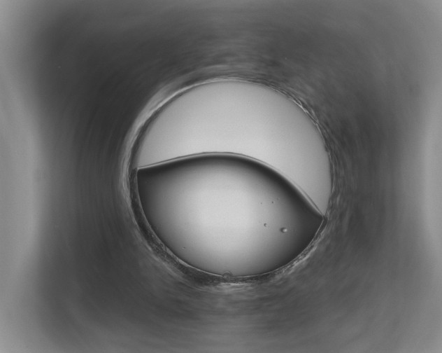 X0000112500150200908171018