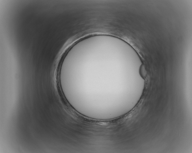 X0000112500151200908171018