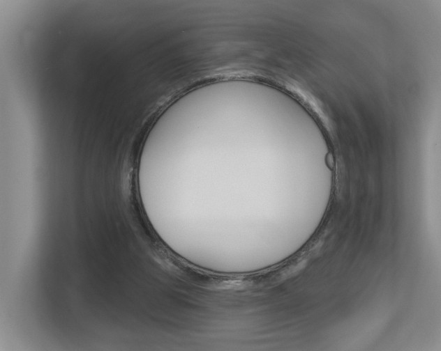 X0000112500153200908171018