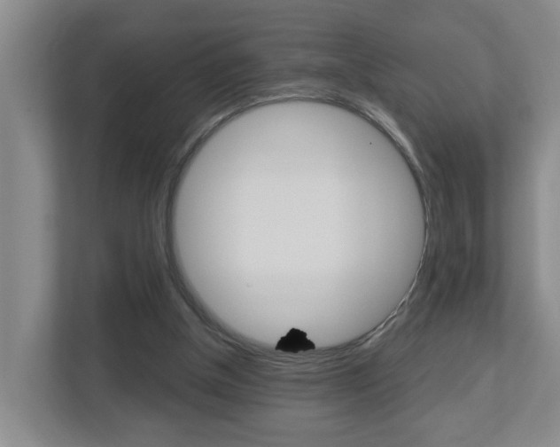 X0000112500154200908171018