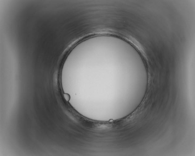 X0000112500155200908171018