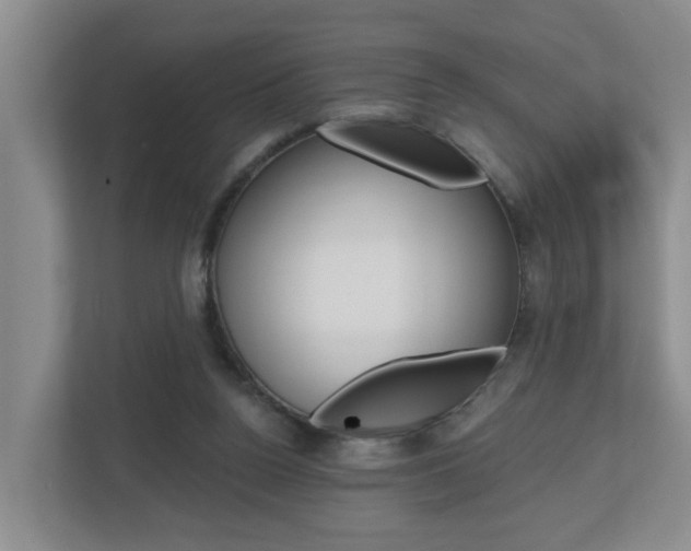 X0000112500160200908171018