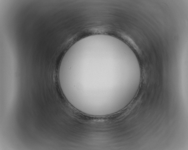 X0000112500161200908171018