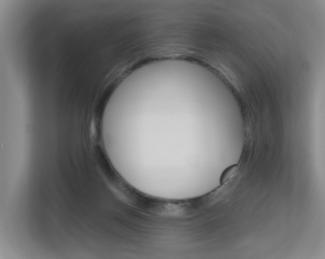 X0000112500166200908171018