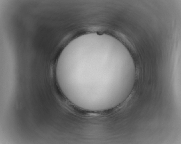 X0000112500167200908171018