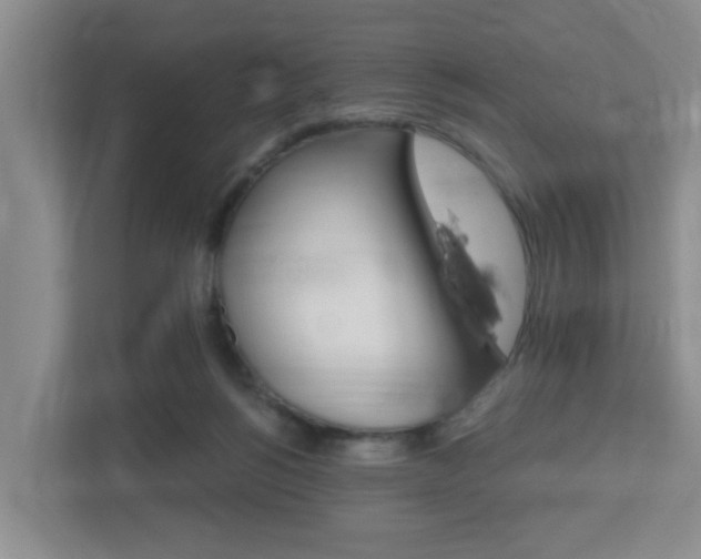 X0000112500168200908171018