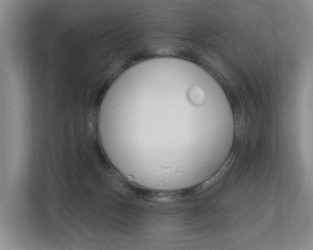 X0000112500175200908171018