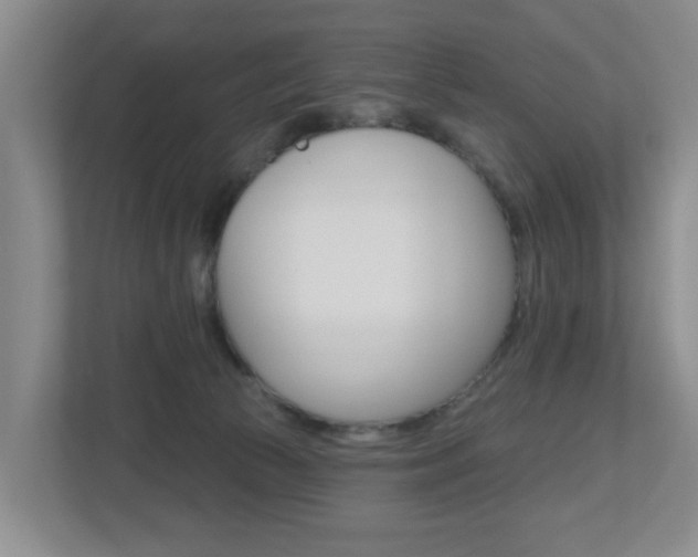 X0000112500177200908171018