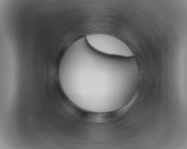 X0000112500182200908171018