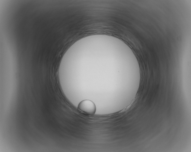 X0000112500184200908171018