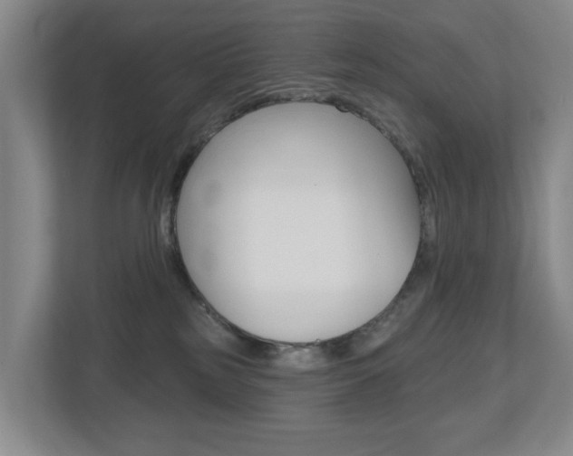 X0000112500185200908171018